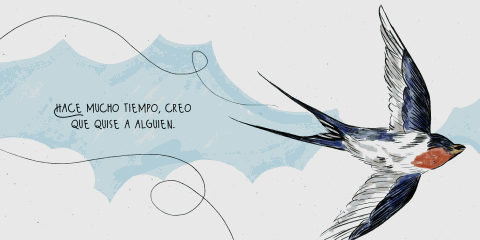 Anduriña, Illustrated Album